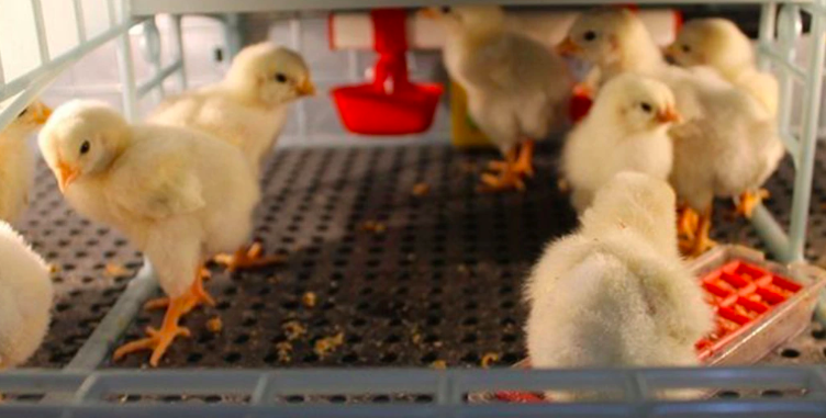 Snímka obrazovky 2026-03-02 o 19.47.59